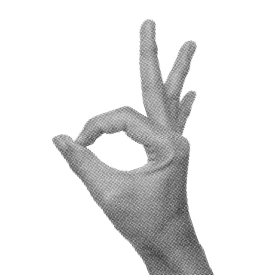 Producción profesional STRIO